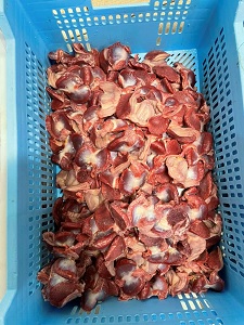 Шлунки індичі очищені ціна виробника