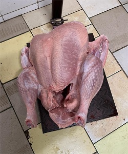 Тушка індика купити від виробника