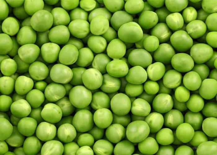 Насіння ярого гороху Гайдук репродукція Еліта