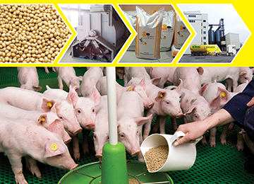 Гранулы для кормления свиней от ТД Биос, ООО