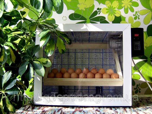 Інкубатор з автоматичним переворотом (60 яєць)